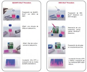 Quanti-Blue and Hek-Blue Detection procedure